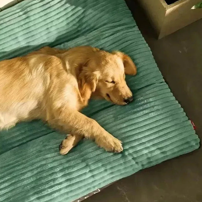 Calming Warm Dog Bed