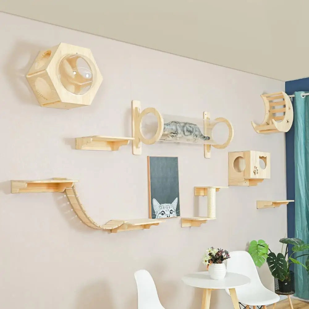 Cat Wooden Wall Climbing Set
