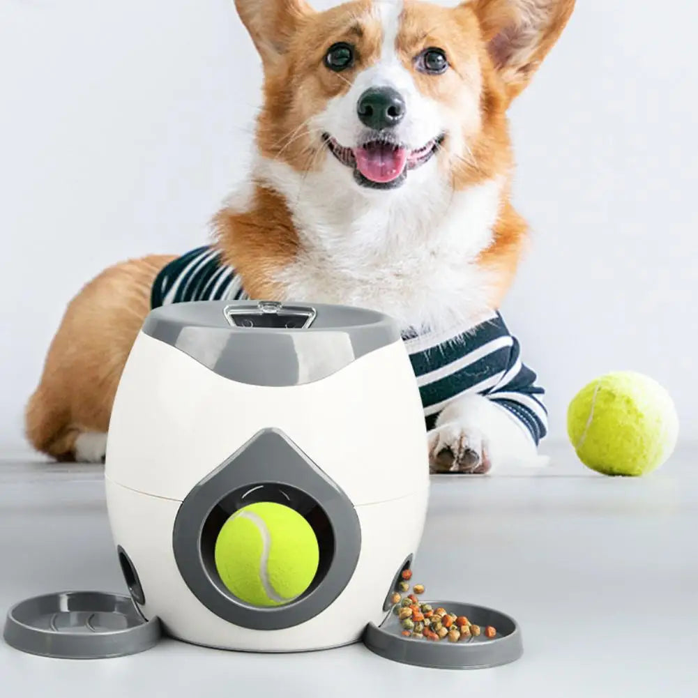 Interactive Pet Ball Launcher with treat feeder