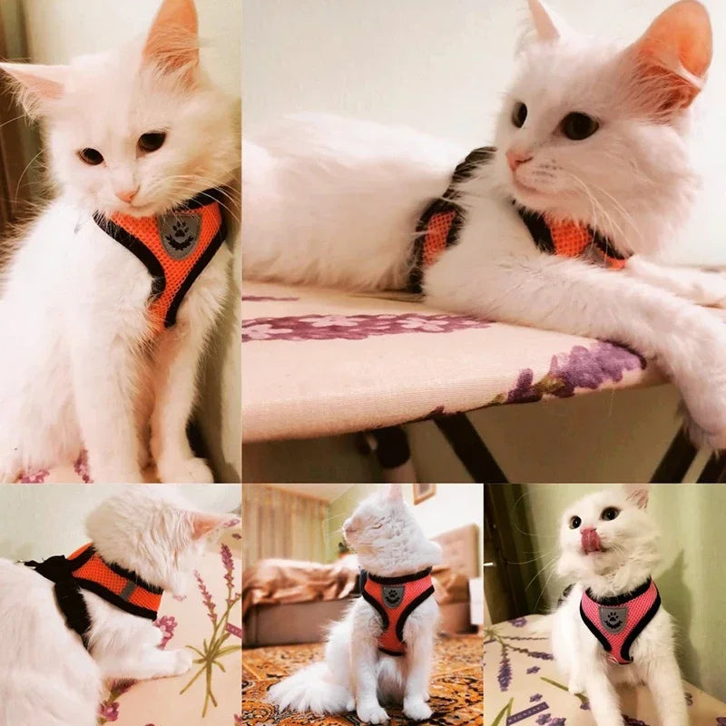 Cat Adjustable Harness Vest with Walking Lead