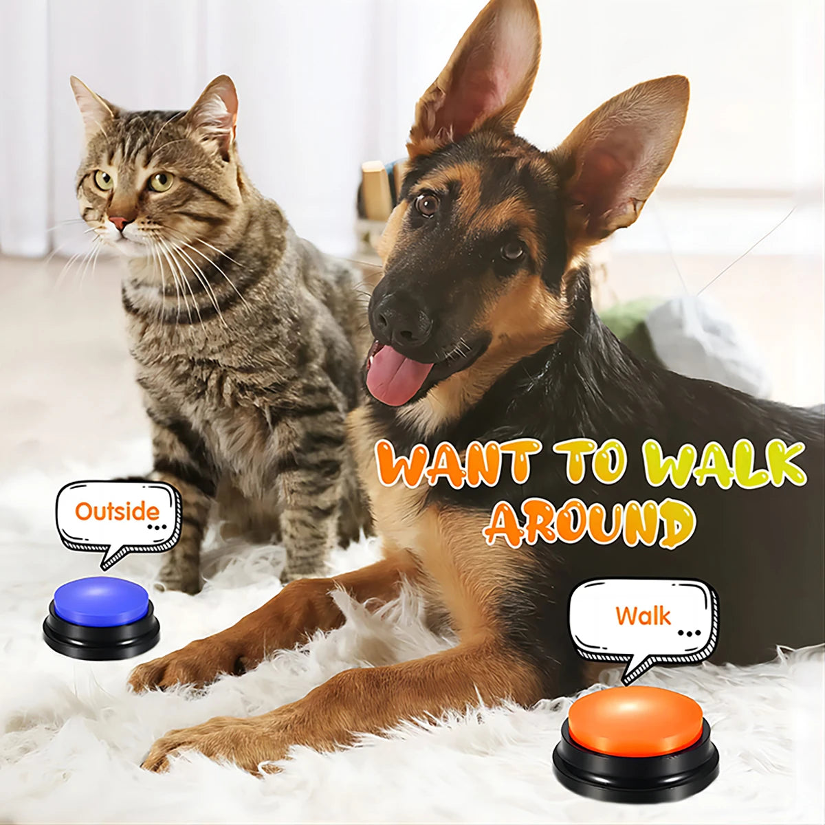 Recordable Pet Speaking/Training Buttons