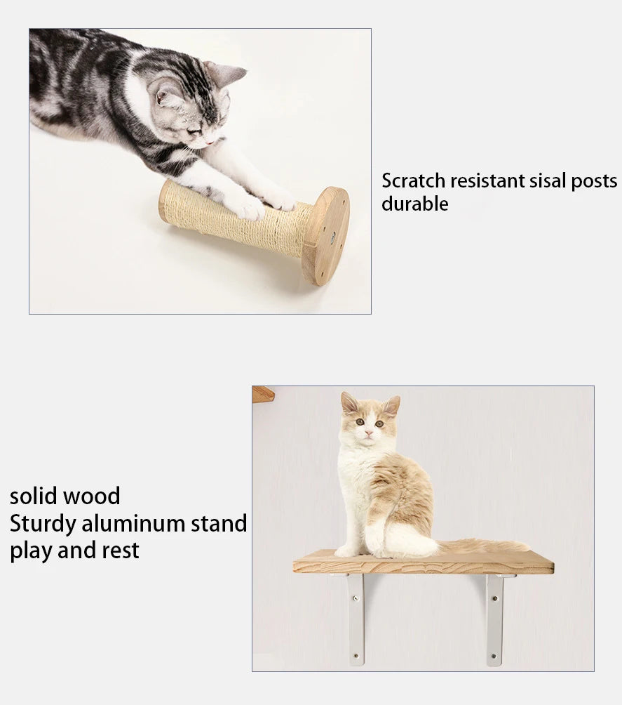 Cat Wooden Wall Climbing Set