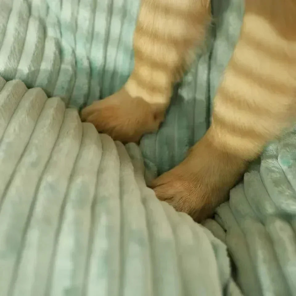 Calming Warm Dog Bed