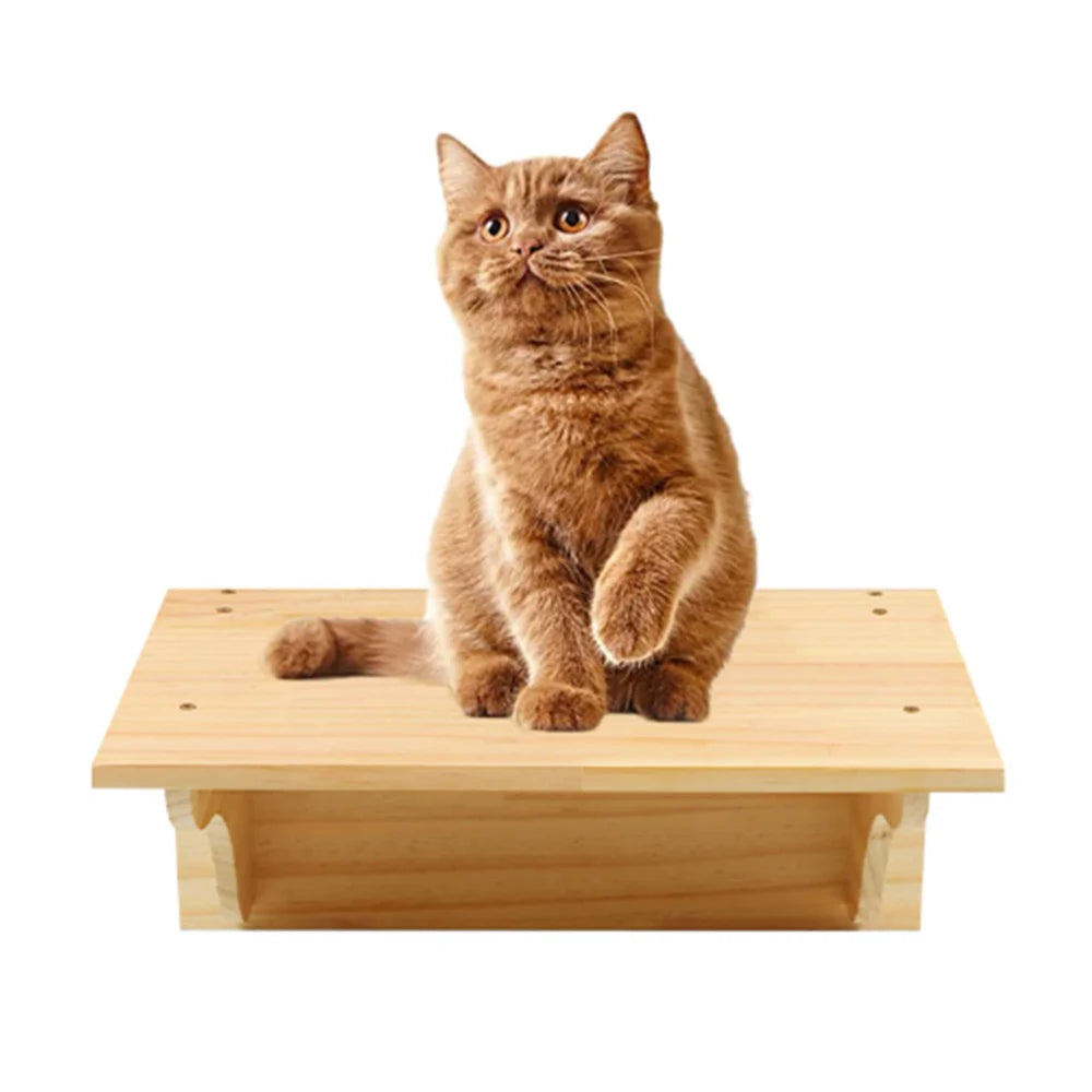 Cat Wooden Wall Climbing Set